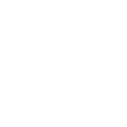 AZ Seville Realty, Poling Team logo